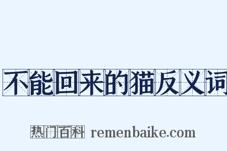 不能回来的猫反义词是什么意思的图片